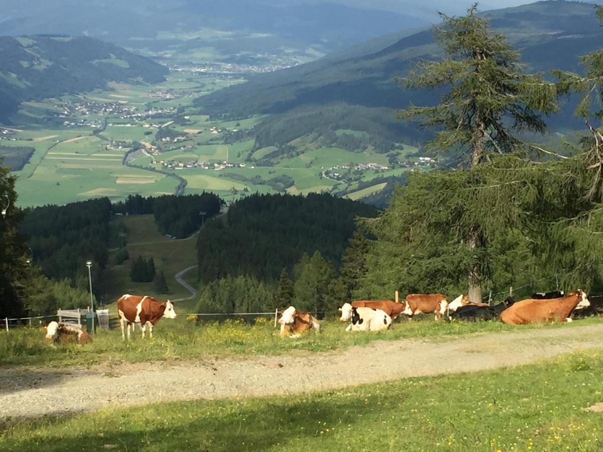 Landhaus Lungau سانكت مايكل ايم لون المظهر الخارجي الصورة